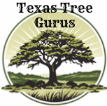 Texas Tree Gurus Logo