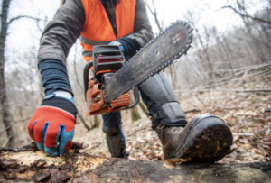 Chainsaw for stump removal abilene texas