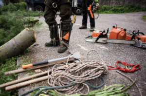 equipment for stump removal abilene texas