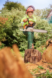 equipment for stump removal abilene texas arborist about to remove stump